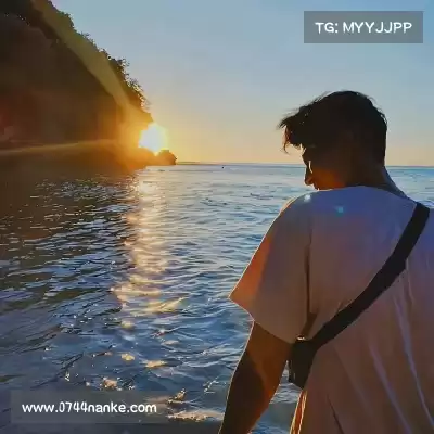 司达蕾